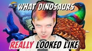 What Color Were Dinosaurs? (WE KNOW... for about six of them)