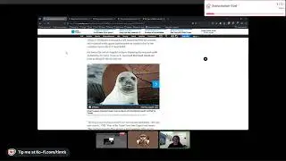 Freebeer Society 4.7.25. | Trump Launches Campaign Against Penguins