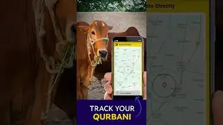Give Qurbani Directly This Eid &ndash; See Your Impact LIVE | DonateDirectly.com  #donatedirectly