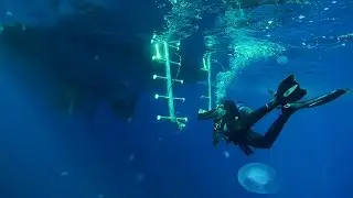 Giannis D wreck Abu Nuhas Egypt 2016