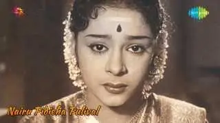 Nairu Pidicha Pulivalu | Ponnaninjittilla Njan song