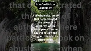 Fun Facts on Psychology Stanford Prison Experiment