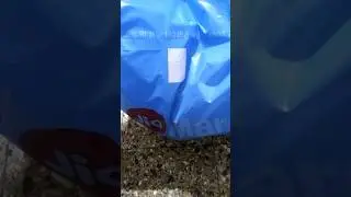 Online Grocery shopping #india #viral #shorts