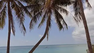 Florida Keys Beautiful Views: Old Seven Mile Bridge Walking Tour * Marathon FL To Pigeon Key