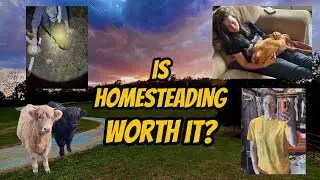 Homesteading Reality Check: 8 Things to Know BEFORE You Start
