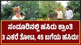 ಸಂಡೂರಿನ ಮಾದರಿ ರೈತ ಬಾಬು 3 ಎಕರೆ ಜಮೀನಿನಲ್ಲಿ 45 ಬಗೆಯ ಹಸಿರು ಕ್ರಾಂತಿ