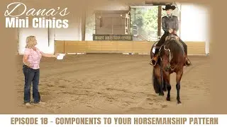 Dana's Mini Clinics | Episode 18 - Components to Your Horsemanship Pattern