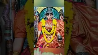 Mullamambikaku dandalu 