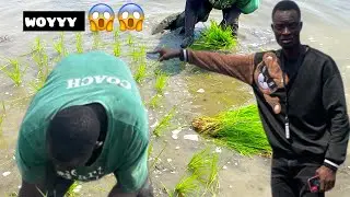 WOYYY 🙆&zwj;♂️🙆&zwj;♂️ PL&Egrave;N MARIWO RICH ANPIL AN AYITI ME KOMAN SA YE#etoiletv88