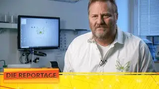 Zertifiziertes Gras mit G&uuml;tesiegel? 🥼🔬 Das Gesch&auml;ft mit dem Cannabis | 2/2 | Die Reportage | ATV