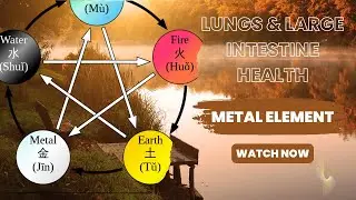 Metal Element Explained - Lung & Large Intestine #chinesemedicine