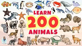 200 ANIMALS for Kids | 100 Sea or Water Animals | 100 Wild Animals | First Words for Babies