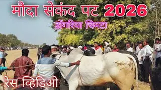 अजीम पटेल बिहारिया || एक नंबर के मानकरी.....|| मौदा पट....