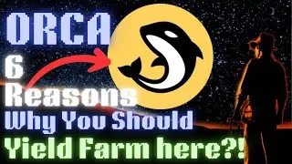 6 motivi per cui dovresti coltivare con ORCA! (anche se sei un principiante assoluto)