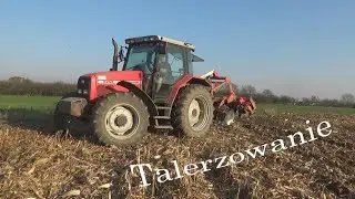 Talerzowanie po Kukurydzy - MF 6255/Grano System 3m