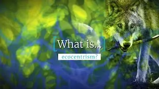 What Is... Ecocentrism?