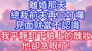 【情感故事】離婚那天，總裁前夫再三叮囑，見面就當不認識，我平靜卸下臉上的醜妝，他卻急眼了!#故事 #人生哲理