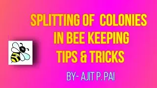 SPLITTING OF  COLONIES  IN BEE KEEPING TIPS & TRICKS