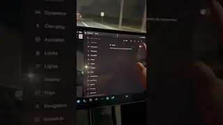 Tesla: for those who don&rsquo;t have premium connectivity - November 4, 2024