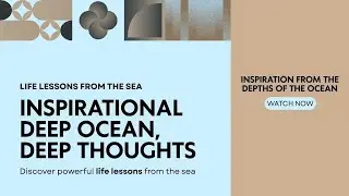 Life Lessons from the Sea | Inspirational Deep Ocean, Deep Thoughts |  Motivation @danishdubai