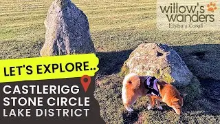 SHIBA x CORGI Explores Mystical Stone Circle | Dog Friendly UK Travel Adventures 4K
