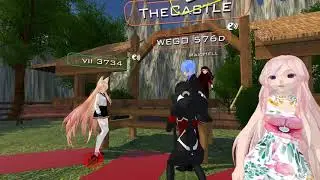 WEGO & VII VRChat Wedding