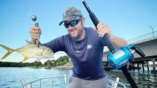 Using Big Live Jacks for Shark Bait | Shark Fishing with Live Jack Crevalle
