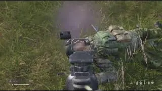 DayZ 5v1?
