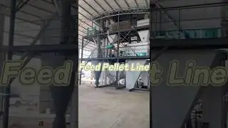 Fully Automatic 5-7T/H Feed Pellet Production Line Manufacturer - Herm Machinery #poultryfeedmachine