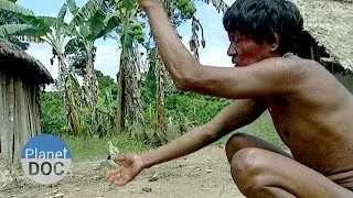 Spirits of the Jungle. The Mountain of Mystery | Tribes - Planet Doc Full Documentaries