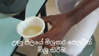 Yoghurt