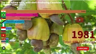 Top Ten Cashwe Nut Production