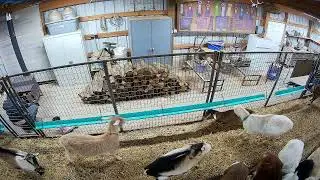 KSAT Farm - Barn