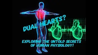Dual Hearts? Exploring the Untold Secrets of Human Physiology