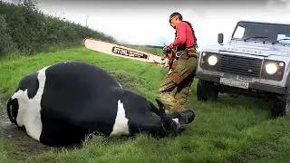 EXTREME COWSHED MAKEOVER: Farm Uses MILITARY CLEANING TECH 🧼✨ | REVOLUTIONARY METHOD