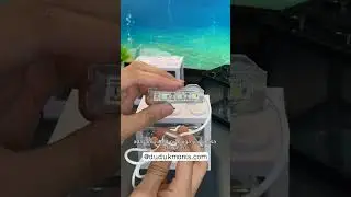 REVIEW AQUARIUM LEGO HIASAN RUANGAN. CEK LINK KITA DIBAWAH YA  #ikan #cupang
