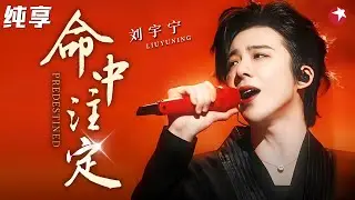 刘宇宁一首《命中注定》封神，性感烟嗓开口就是王炸，台下明星都听醉了~#刘宇宁 #明星演唱会 clip