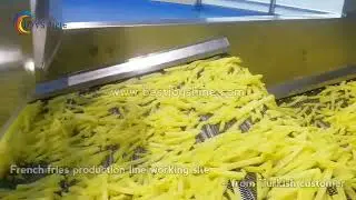 Turkish customers use French fries production line on site 500kg/h French fries line