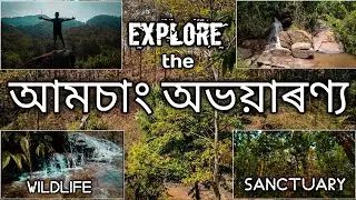 Amchang Wildlife Sanctuary Guwahati - আমচাং অভয়াৰণ্য || Manash & Tridip Vlog