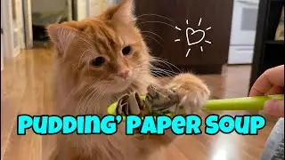 Pudding's Paper Soup - A Dinner Disaster 🍜