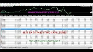 Advanced Parrot Scalper 10.0 - FTMO Challenge Passing EA & Supports Normal Brokers Best EA MT4 2022