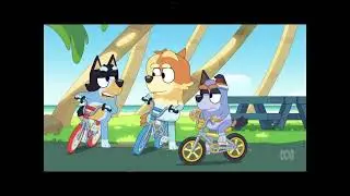 Bandit stop teasing stripe speeds