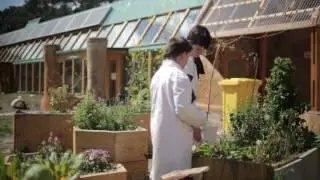 Ganador Innovaci&oacute;n en Impacto Social: UNA ESCUELA SUSTENTABLE