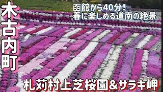 【木古内町】札苅村上芝桜園とサラキ岬