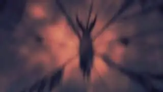 Hollow Knight - The Hollow Knight's Scream