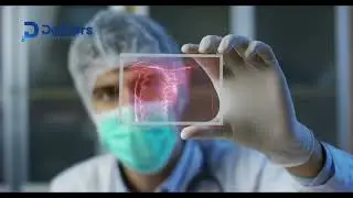 Doktors