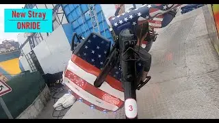 NEW STRAY [Onride] ROQUETTES 2024