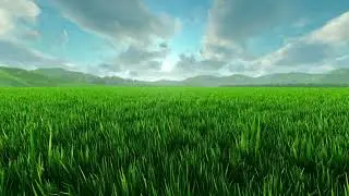 Endless Grass