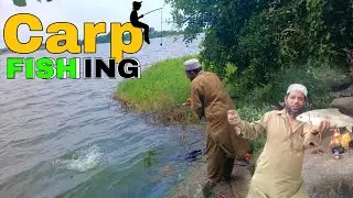 guchcha and feeder carp fishing MD Shabbir hunting please like comment and subscribe#food 