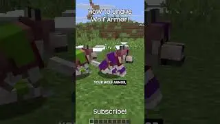 How To Undye Wolf Armor In Minecraft!